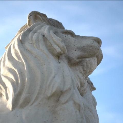 Worm's-eye view of lion statue against a blue sky
